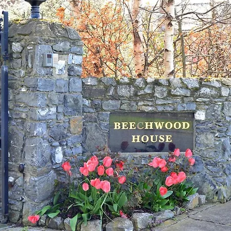 Beechwood