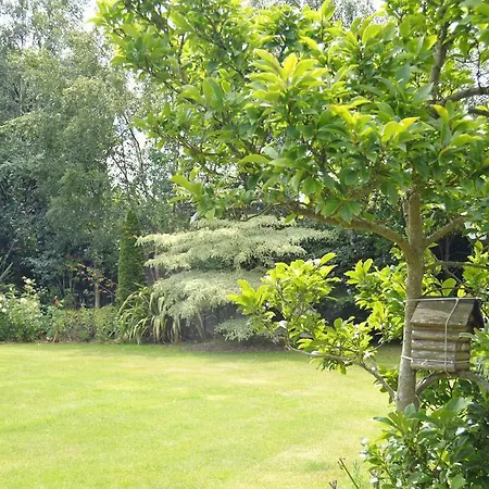 Beechwood Country House Landsted *