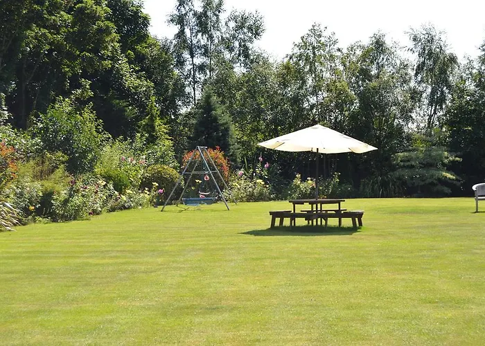 Beechwood Малахайд