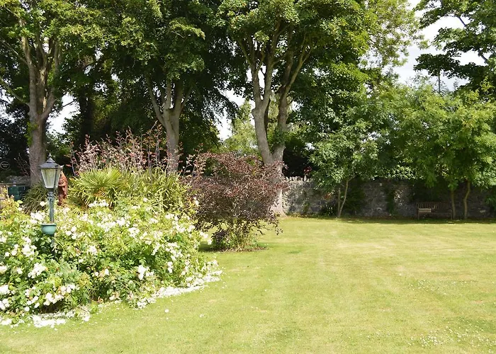 Beechwood * Малахайд